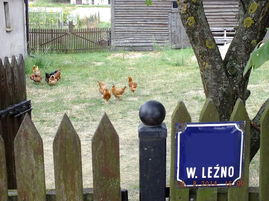 Agroturystyka Wielkie Lezno Exterior photo